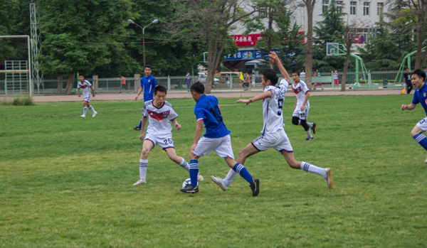 他们开始在 他们开始在